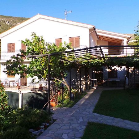 Studio In Plomin Luka/Istrien 8881 Exteriör bild